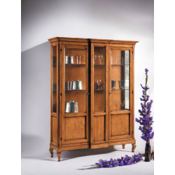 Vitrina - TP 421 Vitrina - TP 421